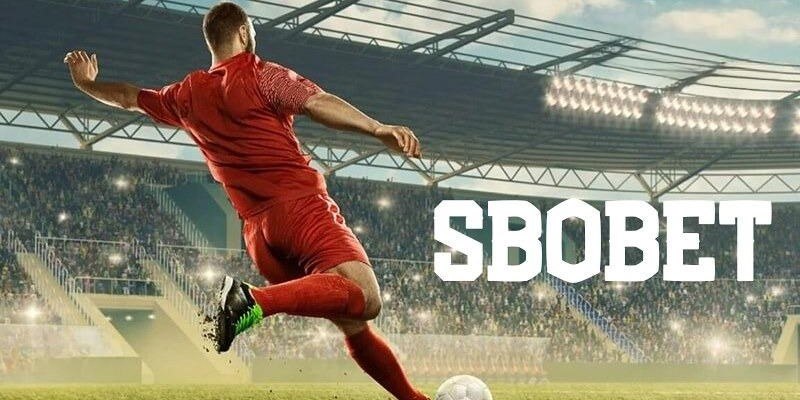 SBOBET Sport  - Sảnh cá cược thể thao New88 cực hấp dẫn